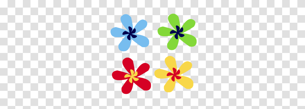 Rainbow Flower, Petal, Plant, Blossom, Daisy Transparent Png