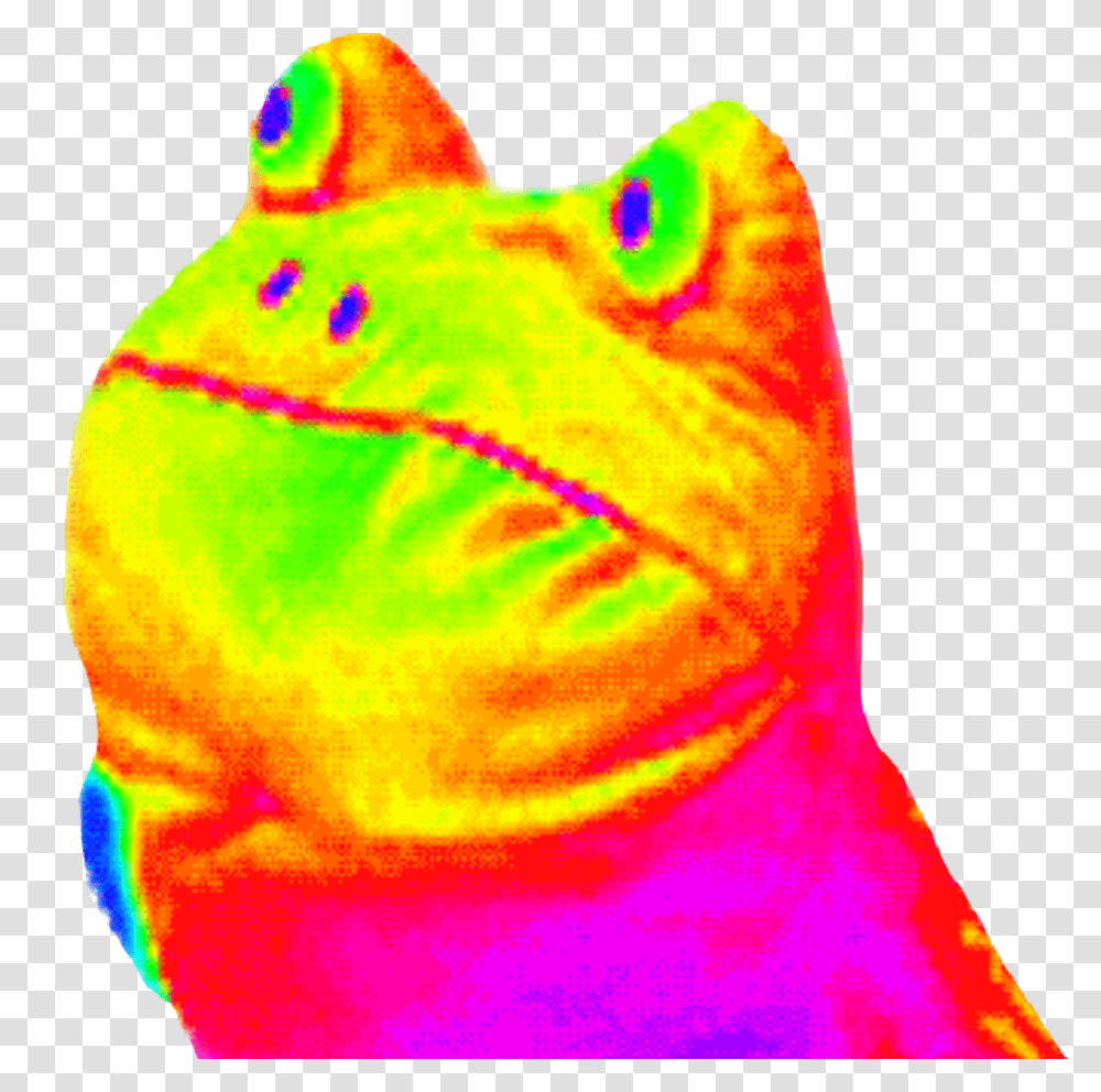 Rainbow Frog Rainbow Frog Gif, Light, Person, Human, LCD Screen Transparent Png