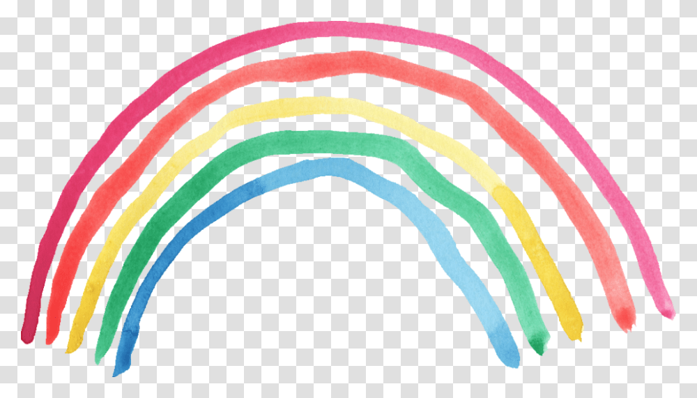 Rainbow Images Pictures Photos Arts, Zebra, Wildlife, Mammal, Animal Transparent Png