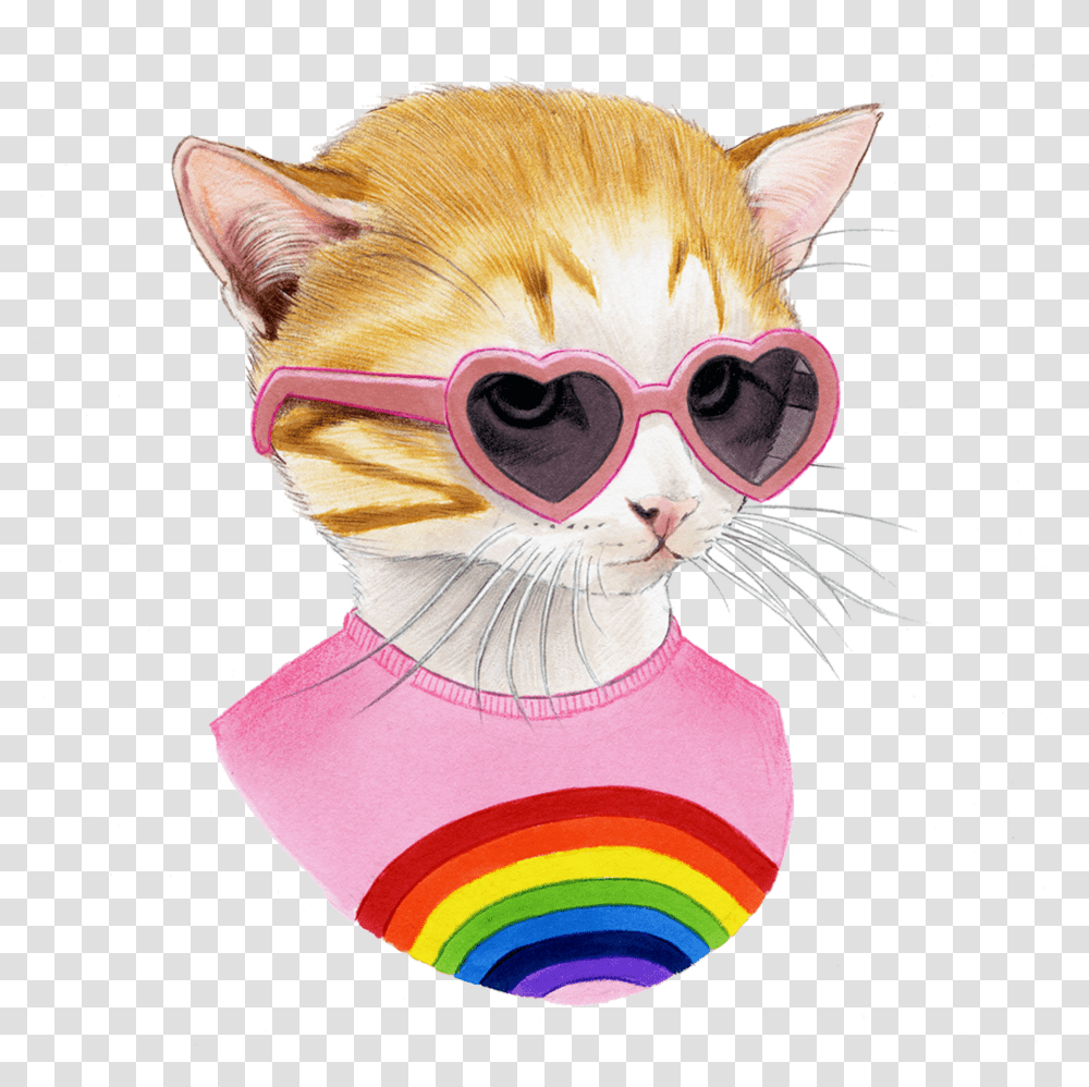 Rainbow Kitten Rainbow Kitten Surprise Fever Pitch Transparent Png