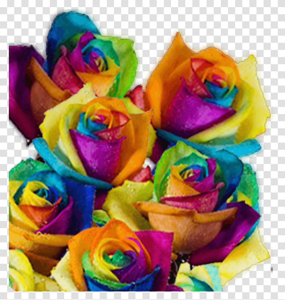 Rainbow Roses For Sale Free Delivery Rainbow Colored Multi Colored Roses, Flower, Plant, Blossom, Flower Bouquet Transparent Png