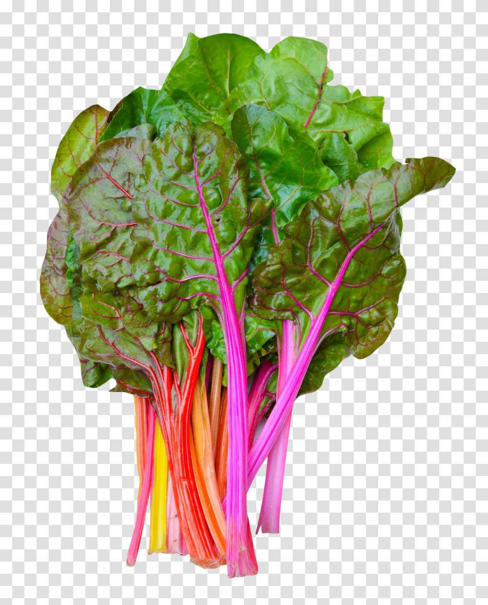 Rainbow Swiss Chard Image, Vegetable, Plant, Food, Kale Transparent Png