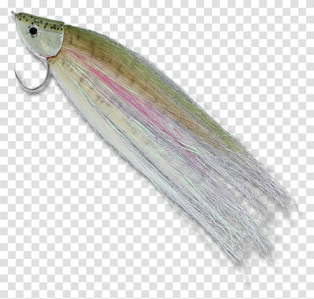 Rainbow Trout Earrings, Bird, Animal, Fishing Lure, Bait Transparent Png