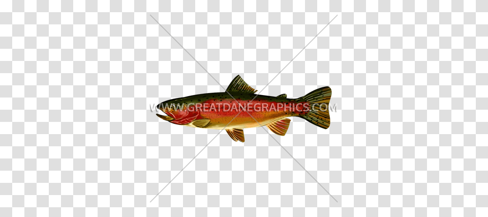 Rainbow Trout Side Production Ready Artwork For T Shirt Printing, Fish, Animal, Coho, Angler Transparent Png