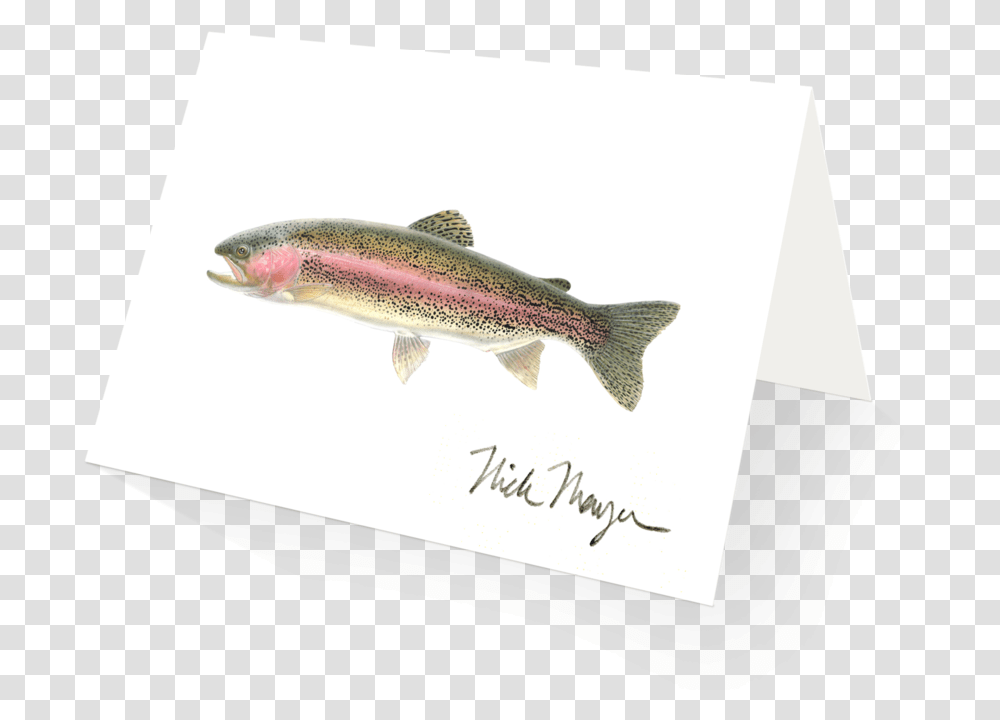 Rainbow Trout Trout, Fish, Animal, Coho, Cod Transparent Png