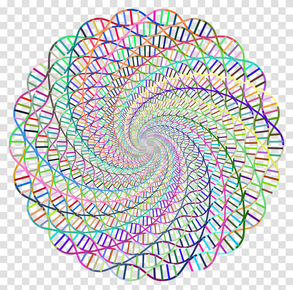 Rainbow Vector Deoxyribonucleic Acid, Spiral, Rug, Pattern, Coil Transparent Png
