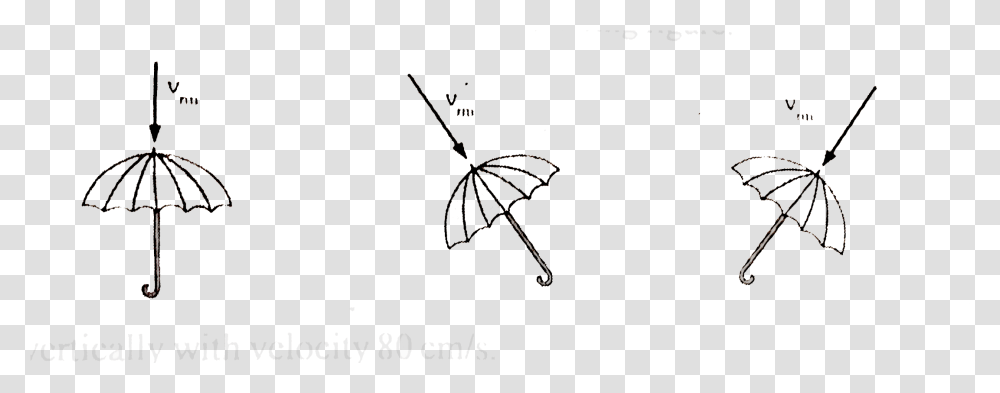 Raindrop, Umbrella, Canopy, Insect, Invertebrate Transparent Png