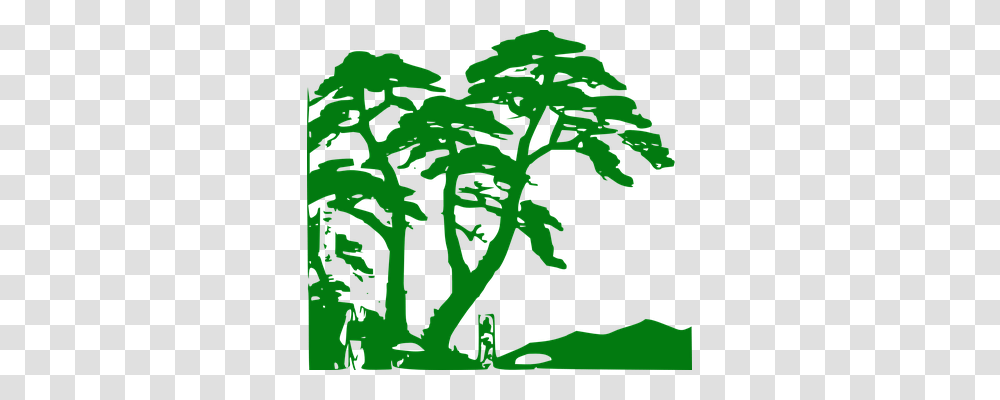 Rainforest Nature, Plant, Leaf, Green Transparent Png