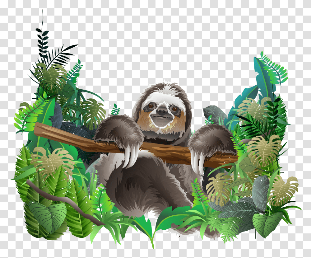 Rainforest Animals Picture Transparent Png