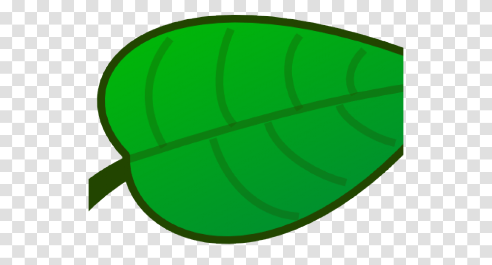 Rainforest Clipart Cartoon, Green, Oval Transparent Png