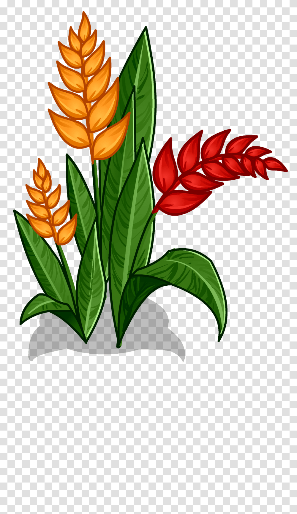 Rainforest High Quality Image Arts, Plant, Flower, Blossom, Tulip Transparent Png