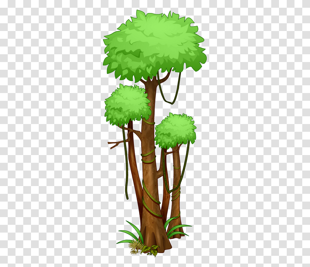 Rainforest Images Free Tropical Rainforest Trees Drawing, Plant, Bamboo, Flower, Blossom Transparent Png