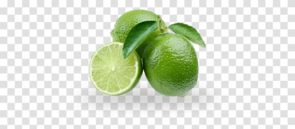 Rainforest Limes Persian Lime, Citrus Fruit, Plant, Food, Tennis Ball Transparent Png