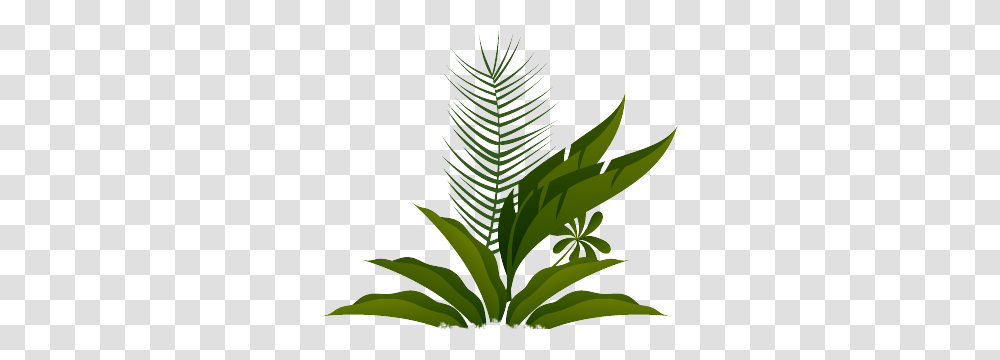 Rainforest Of The Americas, Leaf, Plant, Green, Weed Transparent Png