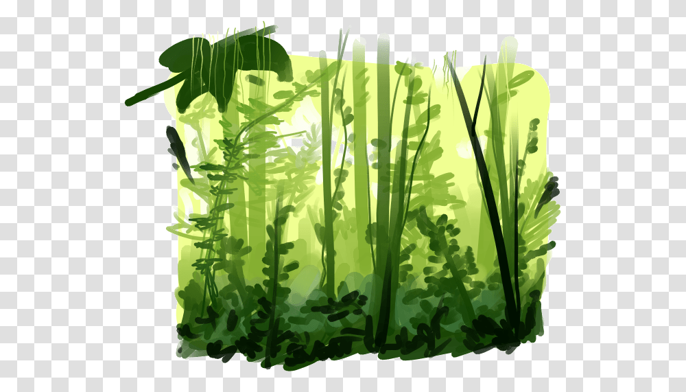 Rainforest Pic Rainforest, Plant, Bamboo, Vegetation, Green Transparent Png