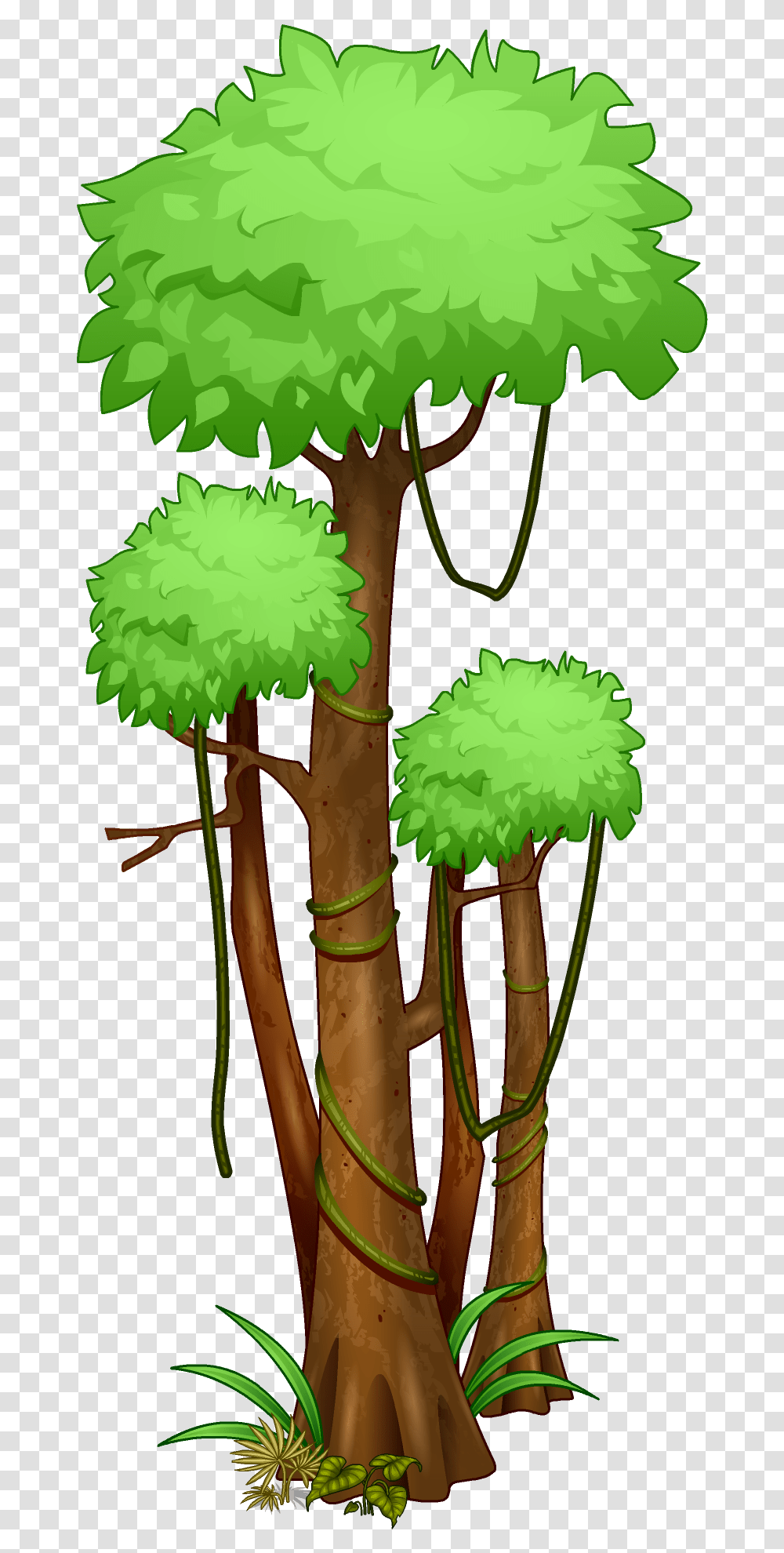 Rainforest Trees Tropical Rainforest Trees Drawing, Plant, Bamboo, Flower, Blossom Transparent Png