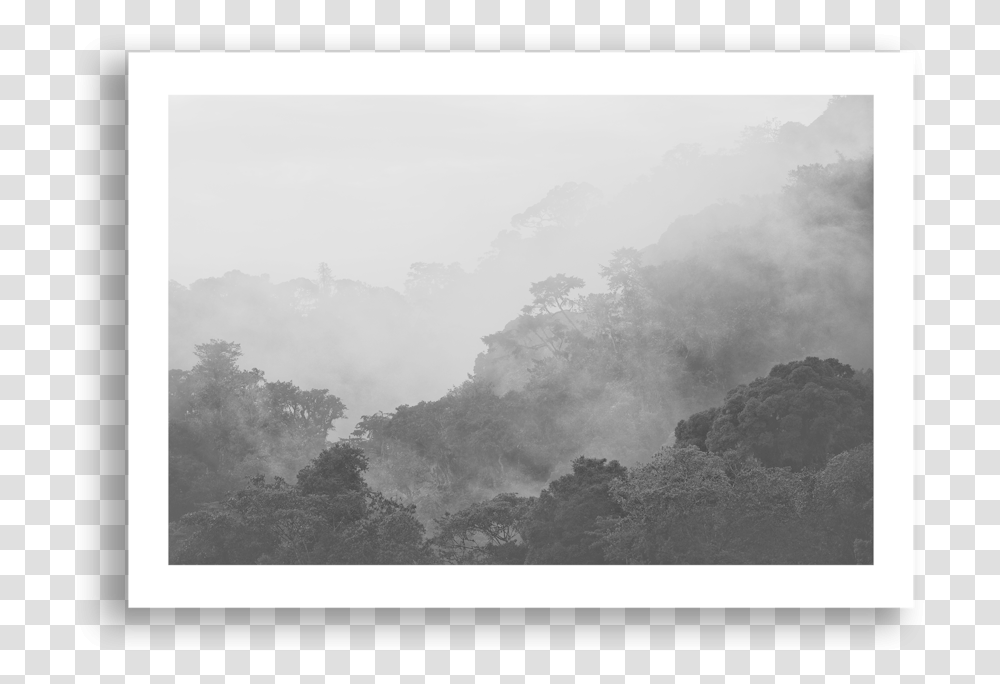 Rainforwest Nyungwe, Nature, Weather, Outdoors, Fog Transparent Png