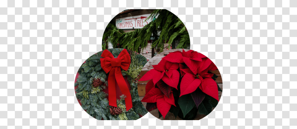 Rainier Youth Choirs Holiday Greenery Market Christmas Day, Paper, Art, Origami, Plant Transparent Png