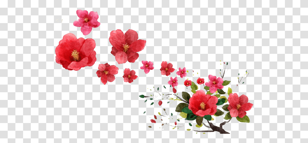 Raining Money Falling Flowers Hd Download Flower Dropping, Plant, Hibiscus, Blossom, Geranium Transparent Png