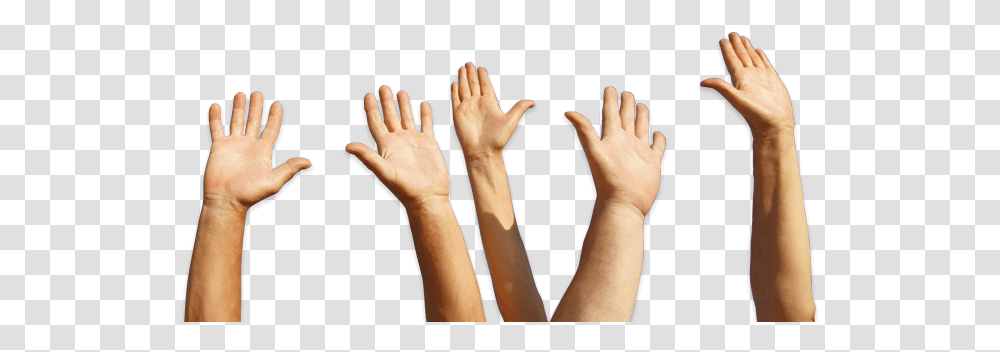 Raise The Roof Hands, Wrist, Person, Human, Finger Transparent Png