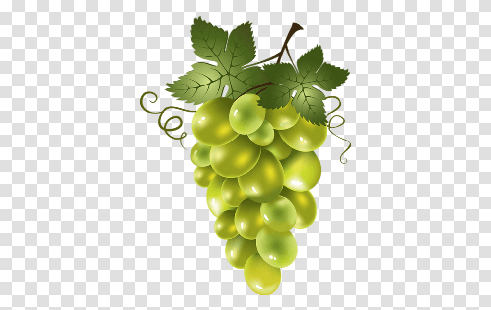 Raisin Blanc 3 Image Green Grapes Clipart, Plant, Fruit, Food Transparent Png