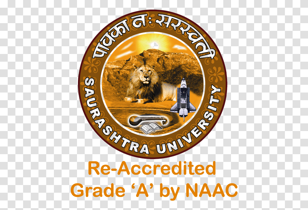 Rajkot University, Lion, Wildlife, Mammal, Animal Transparent Png