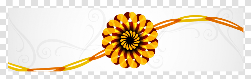 Raksha Bandhan Images, Dahlia, Flower, Plant, Blossom Transparent Png