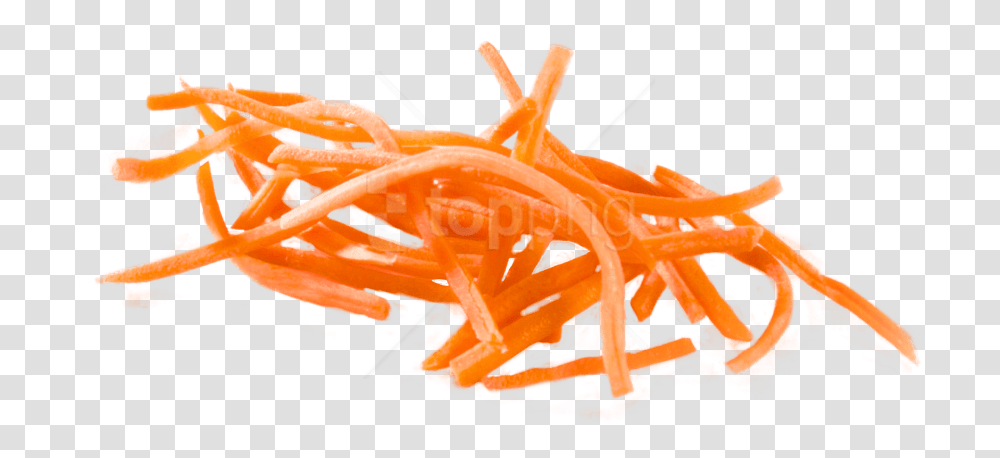 Rallador De Zanahoria Image With No Carrot Sliced, Plant, Vegetable, Food, Lobster Transparent Png