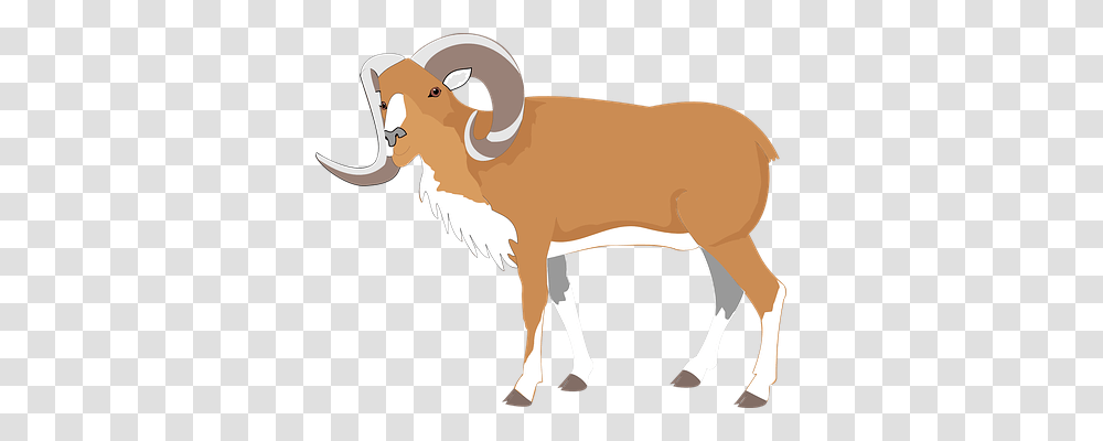 Ram Animals, Mammal, Goat, Blow Dryer Transparent Png