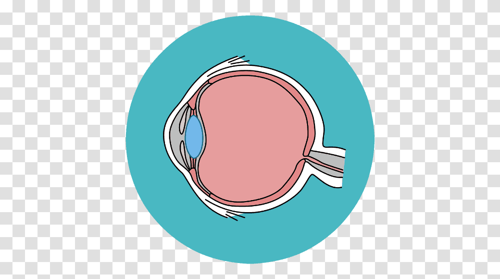 Ram Eye Care Retina Center Dot, Sunglasses, Accessories, Accessory, Magnifying Transparent Png
