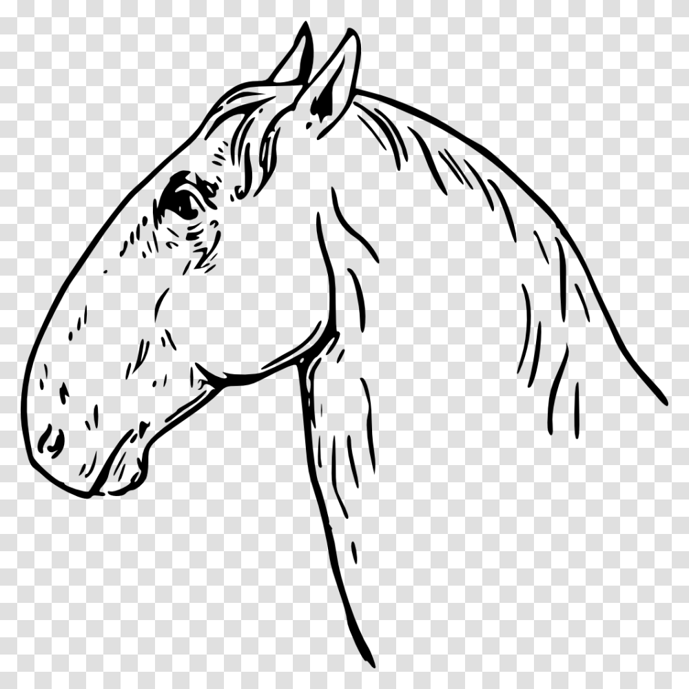 Ram Head Clip Art Images, Horse, Mammal, Animal, Colt Horse Transparent Png