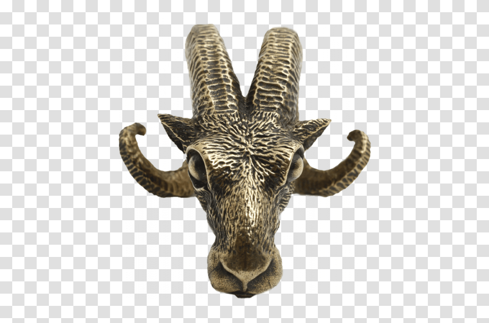 Ram Head Ear Weights Download Maya Jewelry, Bronze, Animal, Mammal, Wildlife Transparent Png