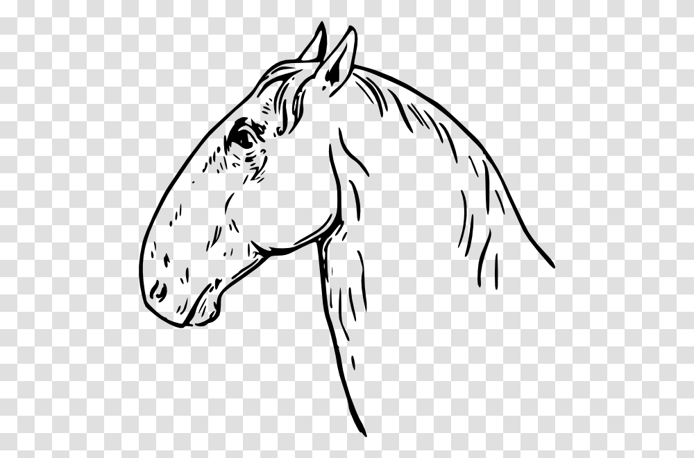 Ram Headed Horse Head Svg Clip Arts La Cabeza Del Caballo, Mammal, Animal, Colt Horse, Stallion Transparent Png