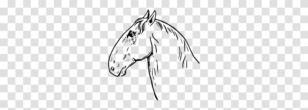 Ram Headed Horsehead Clip Art, Mammal, Animal, Colt Horse, Bow Transparent Png