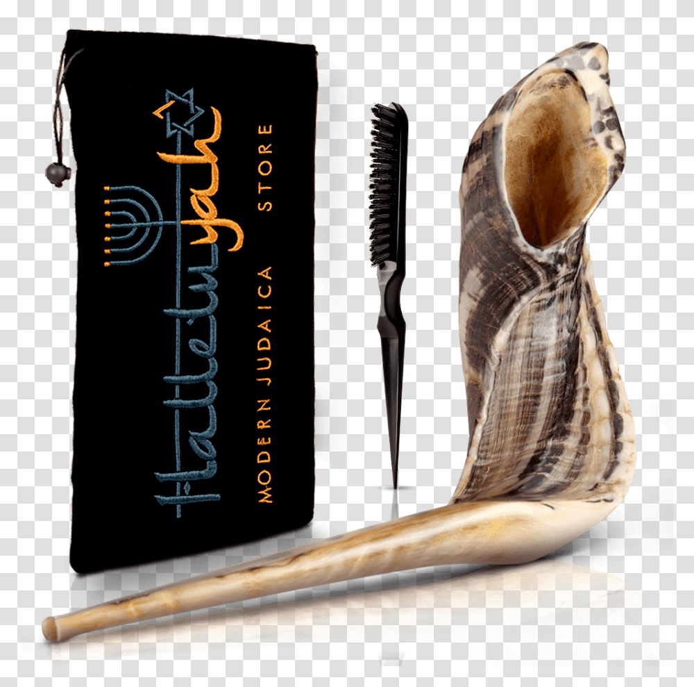 Ram Horn Shofar With Bag Clean Brush Shofar, Sea Life, Animal, Invertebrate, Seashell Transparent Png