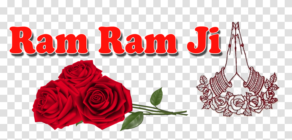 Ram Ram Ji Ram Ram Ji Logo, Plant, Rose, Flower, Blossom Transparent Png