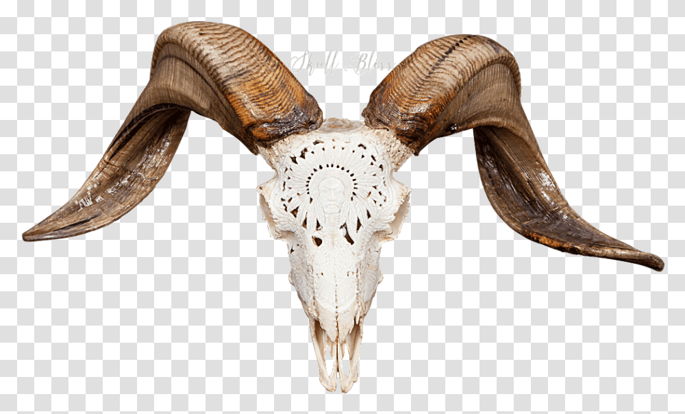 Ram Skull, Animal, Mammal, Hammer, Tool Transparent Png
