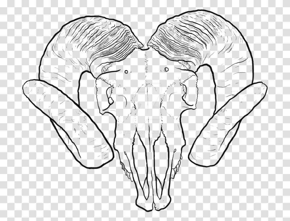 Ram Skull Outline, Logo, Trademark Transparent Png