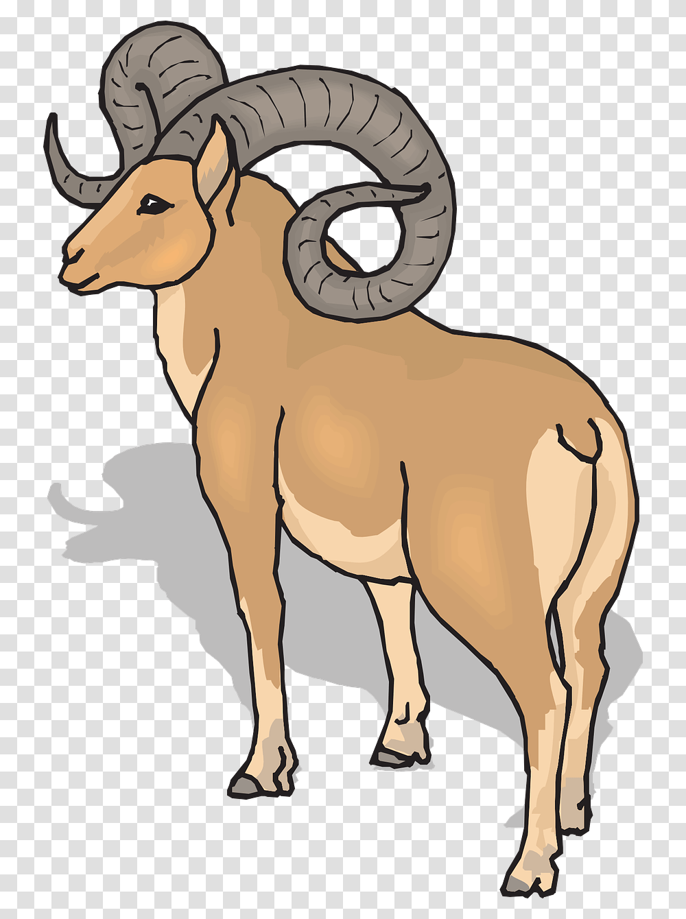 Ram Trucks Sheep Dodge Clip Art, Mammal, Animal, Wildlife, Goat Transparent Png