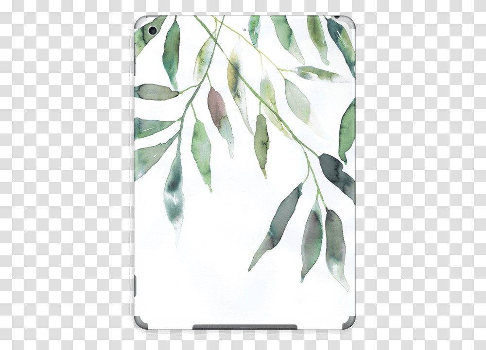 Ramas De Olivo En, Leaf, Plant, Tree, Bird Transparent Png