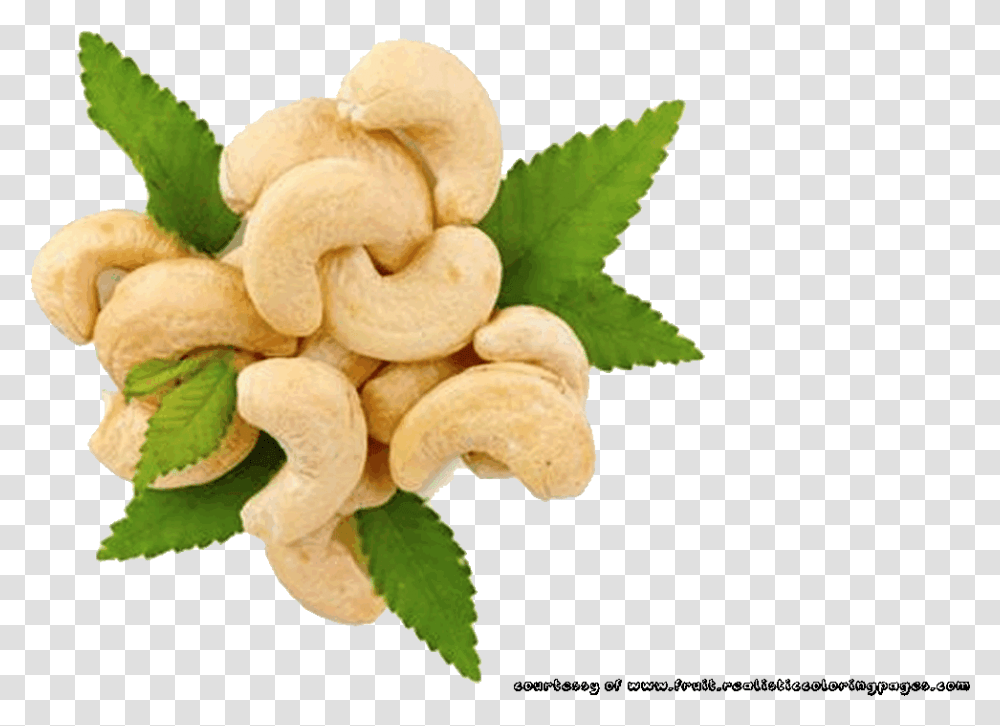 Rambutan Cashew Fruit Pencil Raw Cashew Nut Download Free, Plant, Vegetable, Food, Fungus Transparent Png