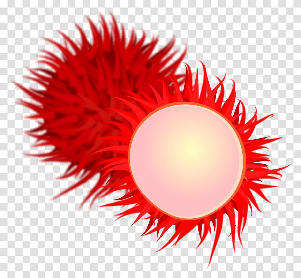 Rambutan Rambutanpng Images Pluspng Clip Art Of Rambutan, Flare, Light, Outdoors, Nature Transparent Png