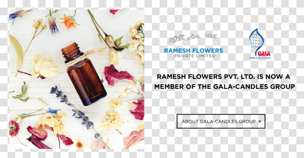 Ramesh Flower Pvt Ltd, Bottle, Beverage, Alcohol, Liquor Transparent Png