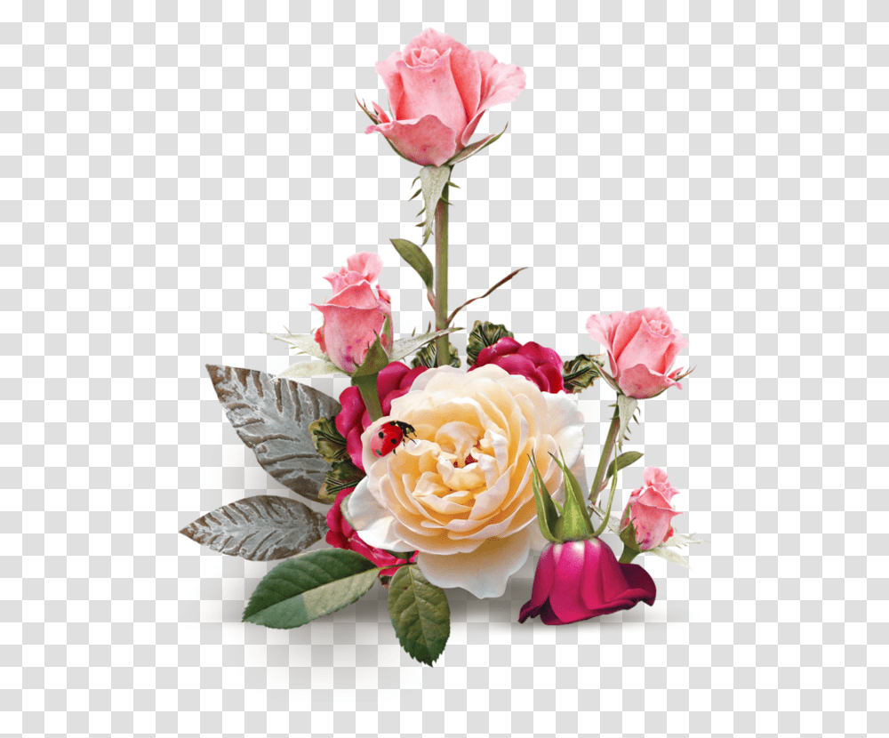 Ramki Dlya Fotoshopa Cveti Babochki, Plant, Rose, Flower, Blossom Transparent Png