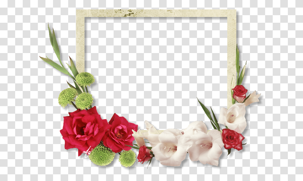 Ramki Dlya Fotoshopa Skachat Besplatno, Plant, Flower, Blossom, Rose Transparent Png