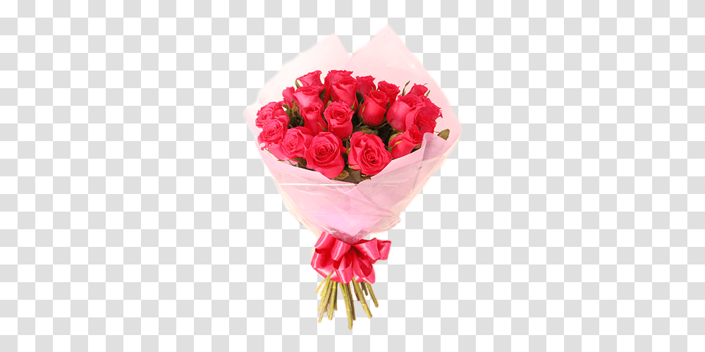Ramo De 24 Rosas Hd Download Day, Plant, Rose, Flower, Blossom Transparent Png