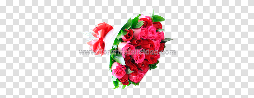 Ramo De 24 Rosas Rojas Y Fucsia Lovely, Plant, Flower Bouquet, Flower Arrangement, Blossom Transparent Png