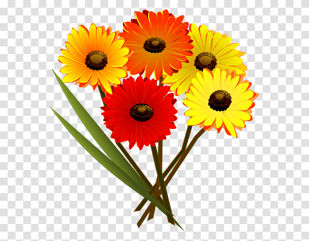 Ramo De Flores Vector Image, Plant, Flower, Blossom, Daisy Transparent Png