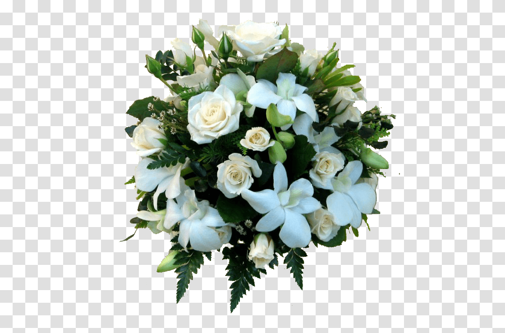 Ramo De Orqudeas Blancas, Plant, Flower, Blossom, Flower Bouquet Transparent Png