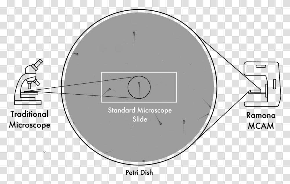 Ramona Optics Microscope Background, Moon, Night, Astronomy, Outdoors Transparent Png